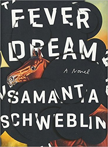 fever dream schweblin novel