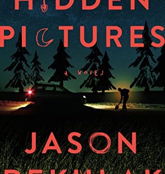 hidden pictures a novel book review