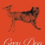 cover of grey dog by gish