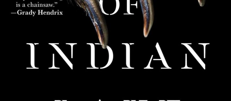 cover of angel of indian lake by jones