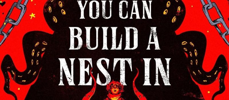 cover of someone you can build a nest in by wiswell