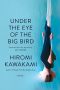 <b>Under the Eye of the Big Bird</b> by Hiromi Kawakami: Review by Niall Harrison